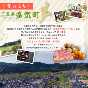 JA-04　旬の野菜と果物の詰め合わせ　人気 野菜 詰合せ 詰め合わせ セット 新鮮野菜 詰め合わせセット 野菜セット 季節の野菜 青ネギ きゅうり 伊勢いも びわ みかん 三重県 多気町 JA‐04