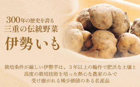 伊勢いも すりおろし 冷凍とろろとはんぺいセット 伊勢いも 芋 イモ とろろ 伊勢芋 とろろ芋 すりおろし 伊勢はんぺい お手軽 とろろ汁 ご飯 そば つけ汁 稀少 名産品 簡単 便利 粘り 個包装 冷凍 セット 詰め合わせ 三重県 多気町 HK-02