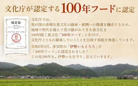 伊勢いも すりおろし 冷凍とろろとはんぺいセット 伊勢いも 芋 イモ とろろ 伊勢芋 とろろ芋 すりおろし 伊勢はんぺい お手軽 とろろ汁 ご飯 そば つけ汁 稀少 名産品 簡単 便利 粘り 個包装 冷凍 セット 詰め合わせ 三重県 多気町 HK-02