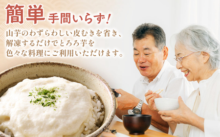 伊勢いも すりおろし 冷凍とろろとはんぺいセット 伊勢いも 芋 イモ とろろ 伊勢芋 とろろ芋 すりおろし 伊勢はんぺい お手軽 とろろ汁 ご飯 そば つけ汁 稀少 名産品 簡単 便利 粘り 個包装 冷凍 セット 詰め合わせ 三重県 多気町 HK-02