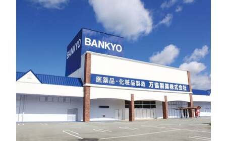 国産アルコール除菌剤「エプールAL65」500ml×4本 アルコール除菌 国産 除菌 アルコール消毒 アルコール消毒液 BK-05 