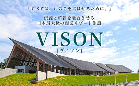 VT-04 日本最大級の商業 リゾート施設 VISON [ヴィソン]ギフト券(100,000円分)|多気町 補助券 ホテル