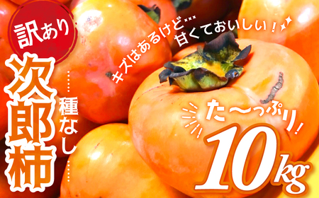 《 訳あり 》10㎏ 次郎柿 たねなし 柿 かき フルーツ 家庭用 訳あり 規格外 わけあり 不揃い ふぞろい 種なし 三重県 多気町 GF-09 