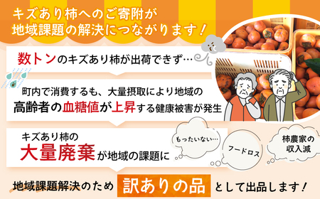 《 訳あり 》10㎏ 次郎柿 たねなし 柿 かき フルーツ 家庭用 訳あり 規格外 わけあり 不揃い ふぞろい 種なし 三重県 多気町 GF-09 