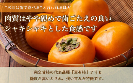 《 訳あり 》10㎏ 次郎柿 たねなし 柿 かき フルーツ 家庭用 訳あり 規格外 わけあり 不揃い ふぞろい 種なし 三重県 多気町 GF-09 