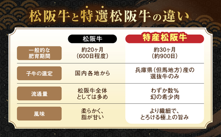 MC-10　松阪牛オリジナル ビーフオイル　1本