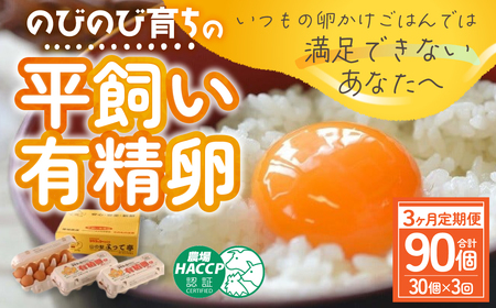 JK-04　【3ヶ月定期便】のびのび育ちの平飼い有精卵（30個×3ヶ月）