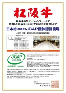 SS-403 【数量限定】松阪牛 家庭用 小間切れ 800g  小分け 国産 肉