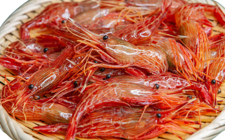 7-012-006 しまえび 1kg(500g×2)