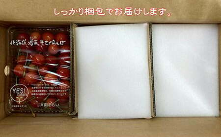 6-018-028　【R7先行予約】ヤマセン仙北果樹園のさくらんぼ 紅秀峰（2Lサイズ）たっぷり1.2kg