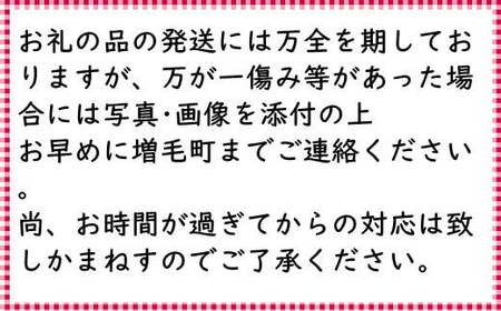 6-020-017　【R7先行予約】山口さんちのさくらんぼ 紅秀峰（2L）1.2kg 