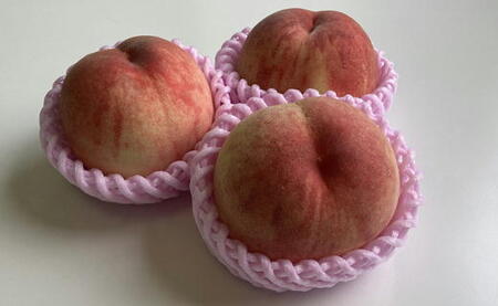 7-014-016　山口さんちの桃あかつき 10玉前後（3.5kg前後）