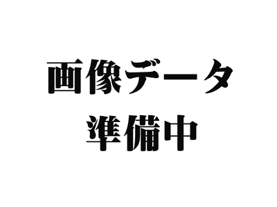 6-013-009　新米・増毛町産えみまる 10kg（10月～発送）【前野ファーム】