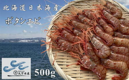 6-015-018　冷凍ボタンエビ 500g（約20尾）