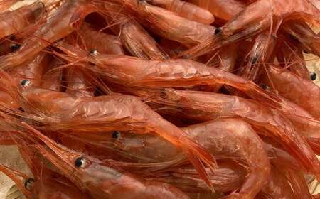 7-007-001 甘えび 500g(40尾前後)