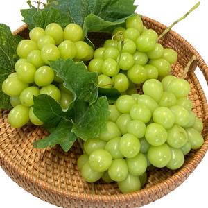 7-014-026　サトケンさんのシャインマスカット2kg（2～3房）