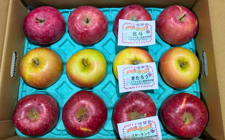 7-005-011　冨野果樹園のおまかせりんごセット 2.5kg【11月発送】