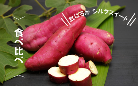 7-005-009　さつまいも食べ比べ（紅はるか・シルクスイート）2kg【マルゼン佐藤果樹園】