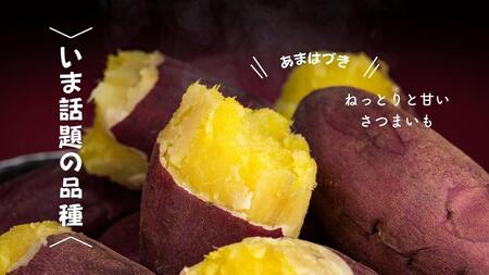 7-010-024　さつまいも（あまはづき）5kg【マルゼン佐藤果樹園】