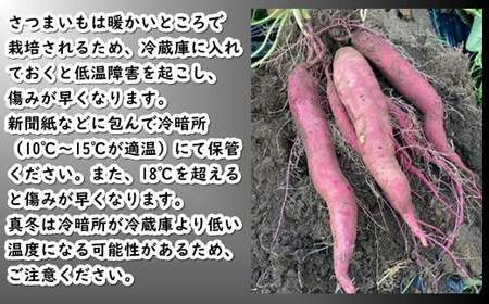 7-010-024　さつまいも（あまはづき）5kg【マルゼン佐藤果樹園】