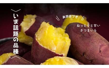 7-005-006 さつまいも(あまはづき)2kg【マルゼン佐藤果樹園】