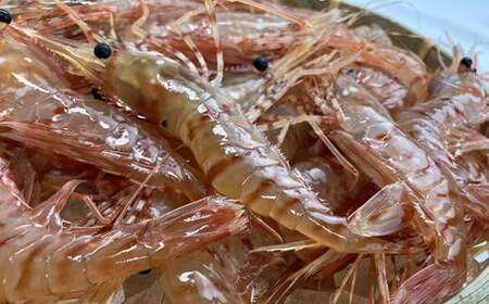 7-013-006　柔らか蒸しヤナギタコとボタンエビ 各500g