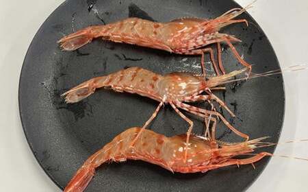 7-013-006　柔らか蒸しヤナギタコとボタンエビ 各500g