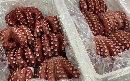 7-010-006　柔らか蒸しヤナギタコ 1kg