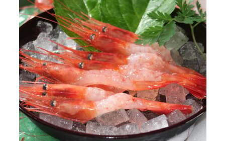 7-010-033 冷凍甘えび 500g(約40尾)