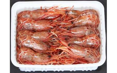 7-010-034 冷凍しまえび 500g(約40尾)