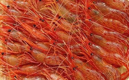 7-020-023 冷凍甘えび・しまえびセット 各500g