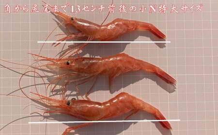 7-020-023 冷凍甘えび・しまえびセット 各500g