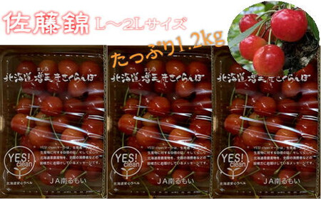 8-014-021　ヤマセン仙北果樹園のさくらんぼ　佐藤錦（L～2Lサイズ）たっぷり1.2kg