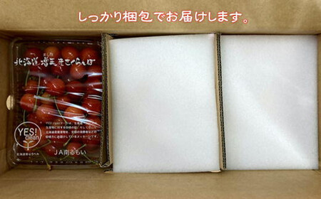 8-014-021　ヤマセン仙北果樹園のさくらんぼ　佐藤錦（L～2Lサイズ）たっぷり1.2kg