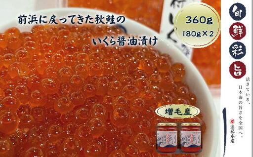 8-028-003　いくら醤油漬け 360g（180g×2本）【11月～発送】