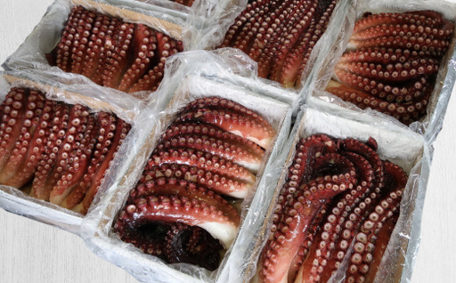 8-015-002　【刺身用】冷凍煮だこ足 約900g（足2本～4本）