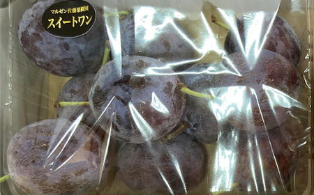 8-011-015 完熟プルーン(スイートワン)2kg【マルゼン佐藤果樹園】