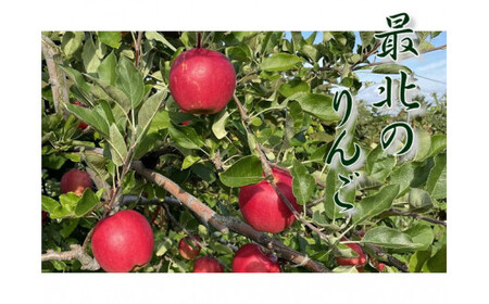 6-012-506　りんご 5kg（2種～4種）【12月発送】