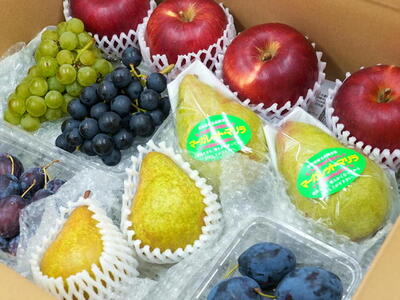 7-014-015　山口さんちの旬なフルーツ詰合わせ【10月～発送】