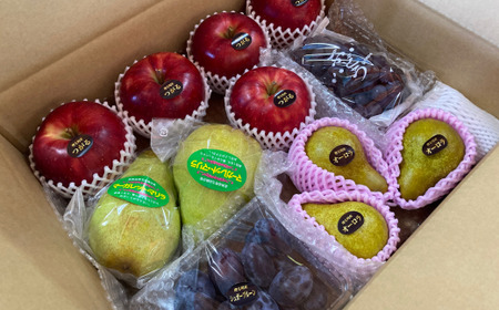 7-014-015　山口さんちの旬なフルーツ詰合わせ【10月～発送】