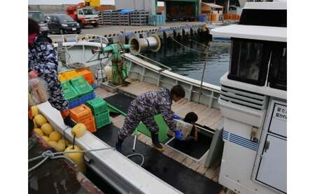 7-010-013　漁師の力酒飲み比べセット（旨口編）
