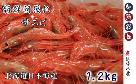 4-011-003　甘えび1.2kg