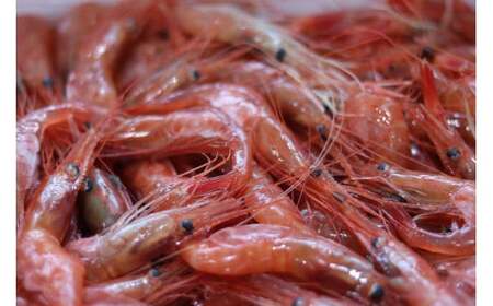 7-012-008 甘えび 1kg(80尾前後)