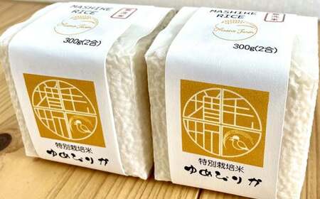 7-020-016　新米・真空パックキューブ米＜無洗米＞ ゆめぴりか 1.8kg（10月～発送）【前野ファーム】