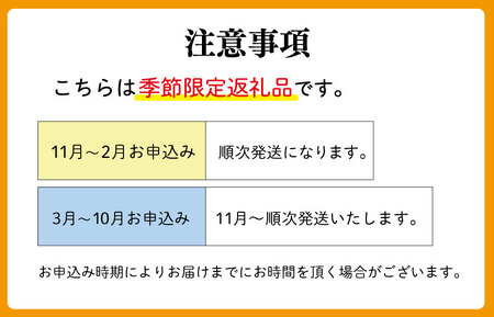 生 菊芋 1kg イヌリン 国産 糖質 有機 血糖値 体型 血圧 いも イモ 芋 菊芋茶 菊芋チップス SDGs エコ サスティナブル 生菊芋 素揚げ 野菜