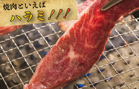 K10松阪牛焼肉（ハラミ）500g
