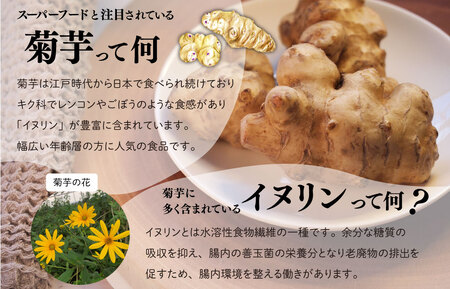 菊芋 チップス 6袋セット イヌリン 国産 糖質 有機 血糖値 体型
