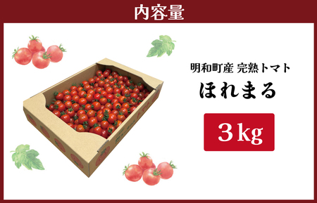 明和町産 完熟 トマト ほれまる 3kg ミニトマト 朝採り 新鮮 生鮮 野菜 あっさり