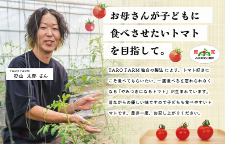 明和町産 完熟 トマト ほれまる 3kg ミニトマト 朝採り 新鮮 生鮮 野菜 あっさり