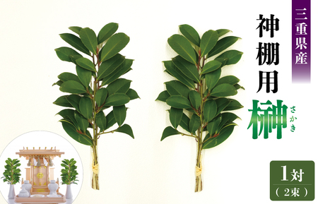 お供え 神棚 榊1対 2束 神棚用 榊 1対（2束）約25cm 神棚 さかき お供え 生花 本榊 サカキ 仏